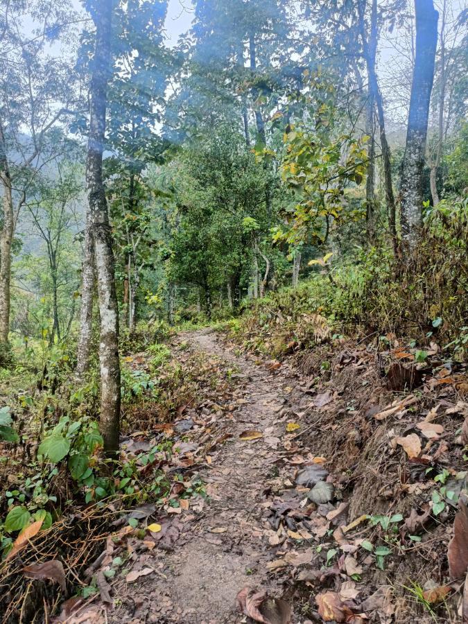 Live In Nature Darjeeling  Buitenkant foto